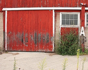 barn-door